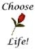 The rose, a pro-life symbol (Choose Life!)